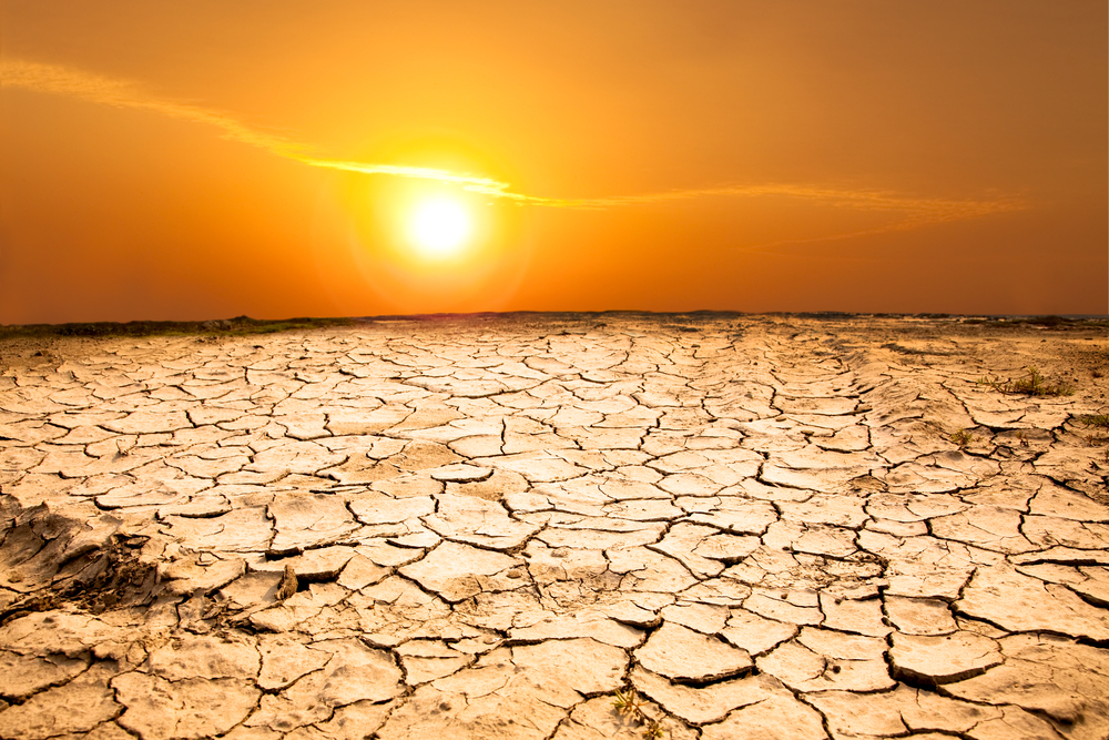 Heatwave